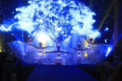 藍(lán)色蝴蝶夢  廣州舞蹈隊表演 演出公司